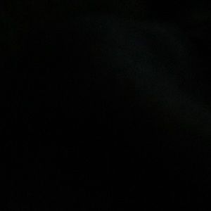 Meet your Posher, Jared